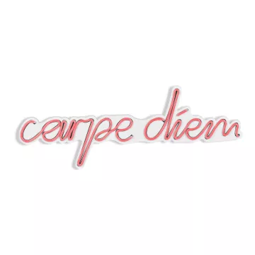 Ѕидна LED декорација Carpe Diem - Pink