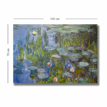 Слика 70100MONET016