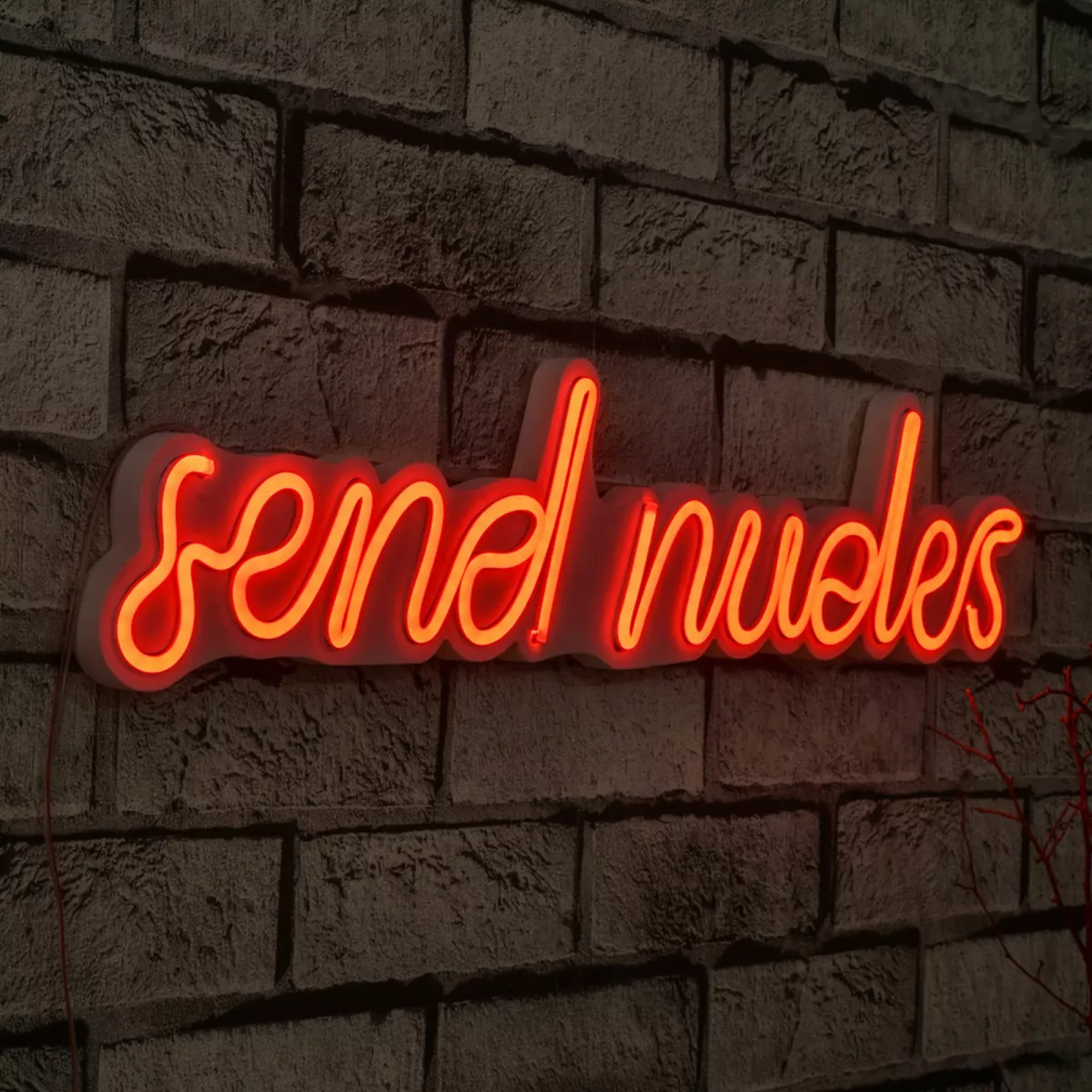 Ѕидна LED декорација Send Nudes - Red