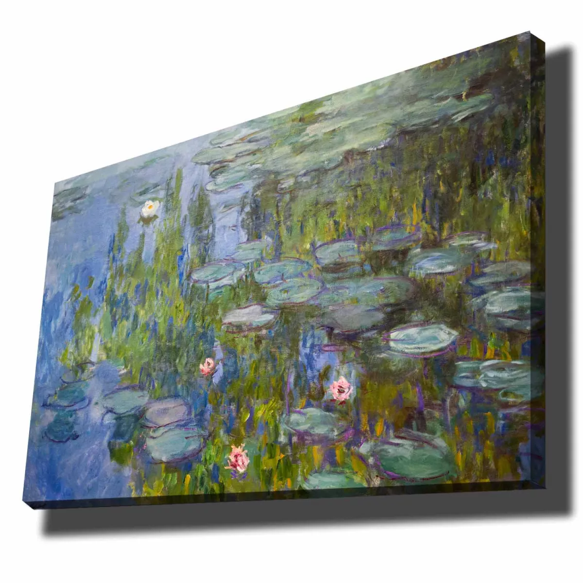 Слика 70100MONET016