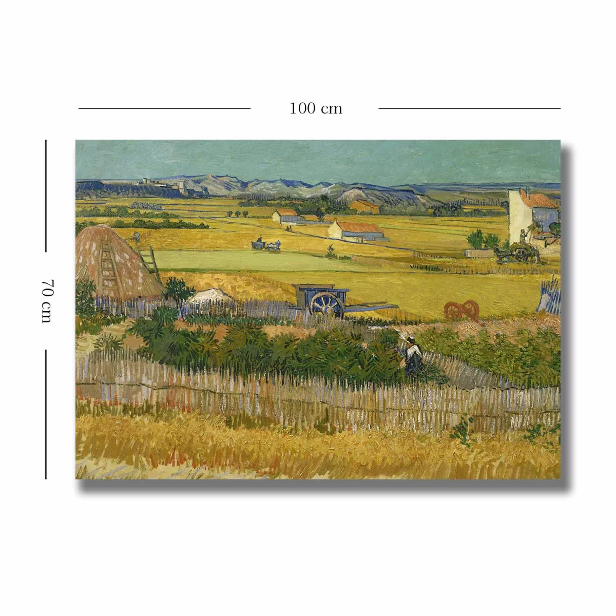 Слика 70100VANGOGH044