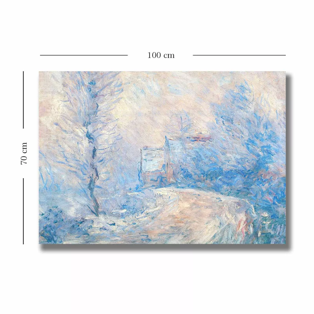 Слика 70100MONET005